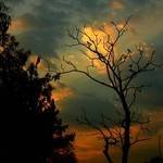 Sunrise in Bhopal