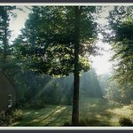 Morning Rays