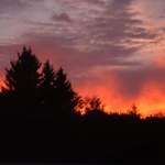 Morning Fury