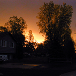 Burning Treetops