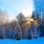 December Sunrise