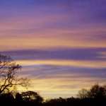 Early Morning