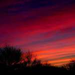 Morning Colors