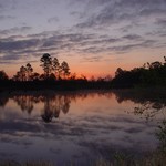 Dawn on Bear Creek