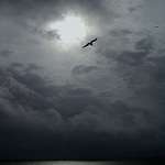 Gray Sunrise