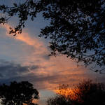 Sunset Color