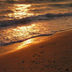 Sunset golden reflections
