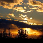 Sunset in Winter