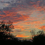 Backyard Sunset