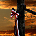 Independence Day