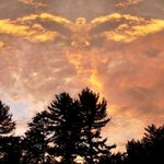 Sunset Eagle