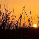 Sunset on the Marsh