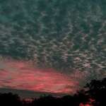 Fading Sunset