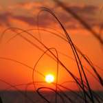 Sunset3