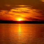 God's Creation