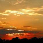 Golden Sunset
