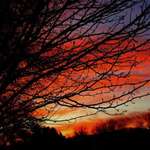 Night Falls