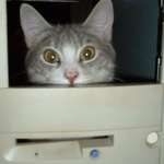 who put her in the PC