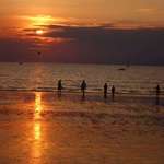 Darwin sunset