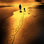 Long Way