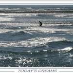 Todays dreams