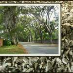 Taby Wall along Magnolia Avenue, St Augustine, Florida