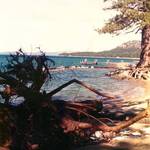 Tahoe 1974