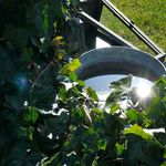 The Sun in the Bucket