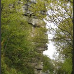 The Carriage Road