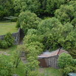 The Garden Below
