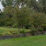 The Garden