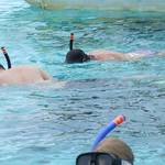 The Snorkles!