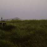 The great ocean Grass