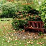 The Park