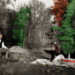 The Picnic