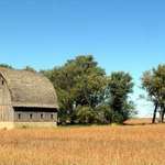 This Old Barn