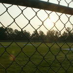 Through the Fence