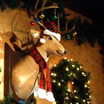  Singing Raindeer