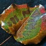 Nature's Art