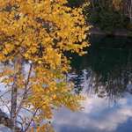 Reflections