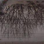 Reflections of a Grey World