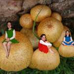 Triplets