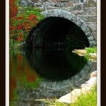 tunnel of love