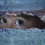 Rosie plays hide and seek badly