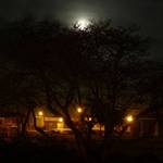 The Peeping Moon