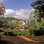 San Antonio Botanical Garden 5
