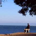 Contemplation 1