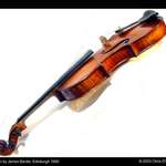 Violin