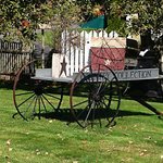 Wagon