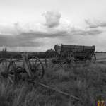 wagons